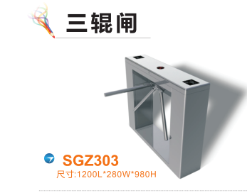 绍兴越城区三辊闸四号